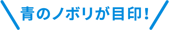 The blue Nobori is a landmark!