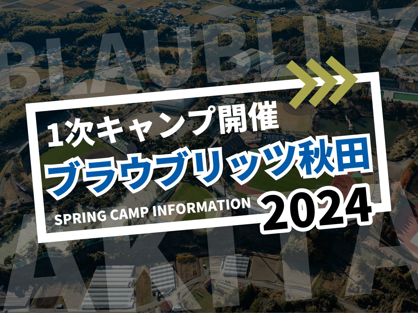 Braublitz Akita Primary Camp