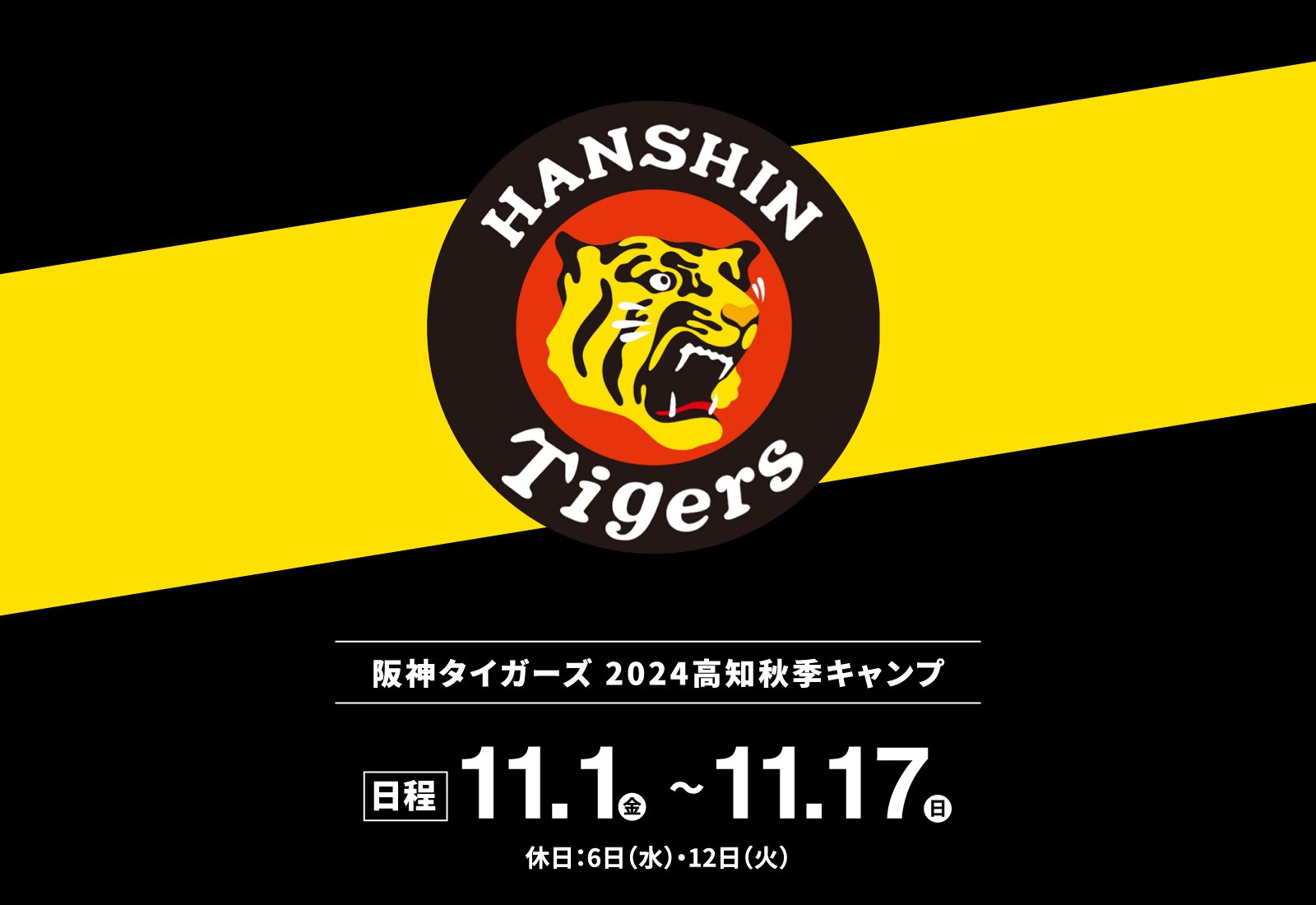 Hanshin Tigers Fall Camp 2024